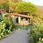 Erste * Capoliveri (Isola d'Elba)